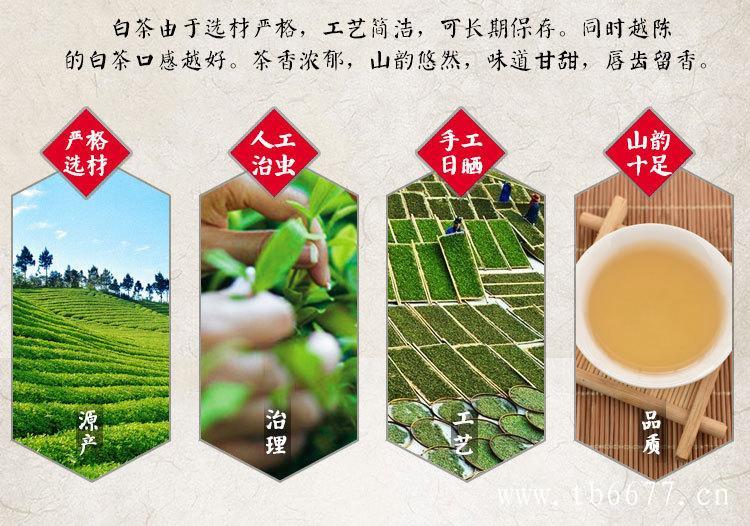 白毫银针的产地