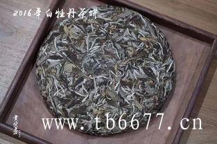 泡福鼎白茶时需要放多少茶叶