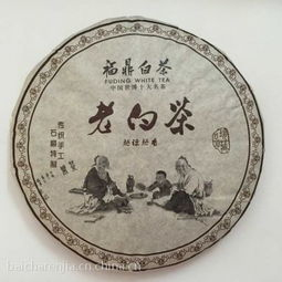 云南古树白茶和福鼎白茶有什么不同