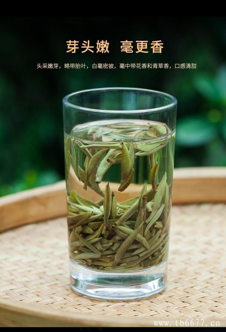 白牡丹茶的功效,白毫银针散茶价格,白牡丹茶的功效