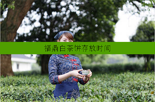 福鼎白茶饼存放时间